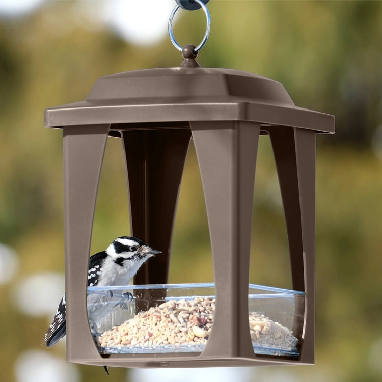 Nature's Way Dine-in Hanging Plastic Fly Through Bird Feeder with a woodpecker feeding, features removable seed tray, drainage holes, and protective roof.