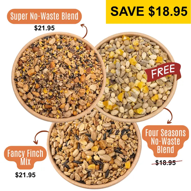 3 Bowls of birdseed from a birds eye view, specifically: Super No-Waste Blend, Four Seasons No-Waste, and Fancy Finch Mix