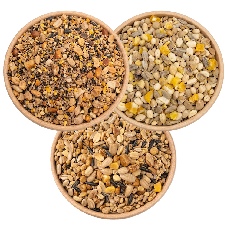 3 Bowls of birdseed from a birds eye view, specifically: Super No-Waste Blend, Four Seasons No-Waste, and Fancy Finch Mix