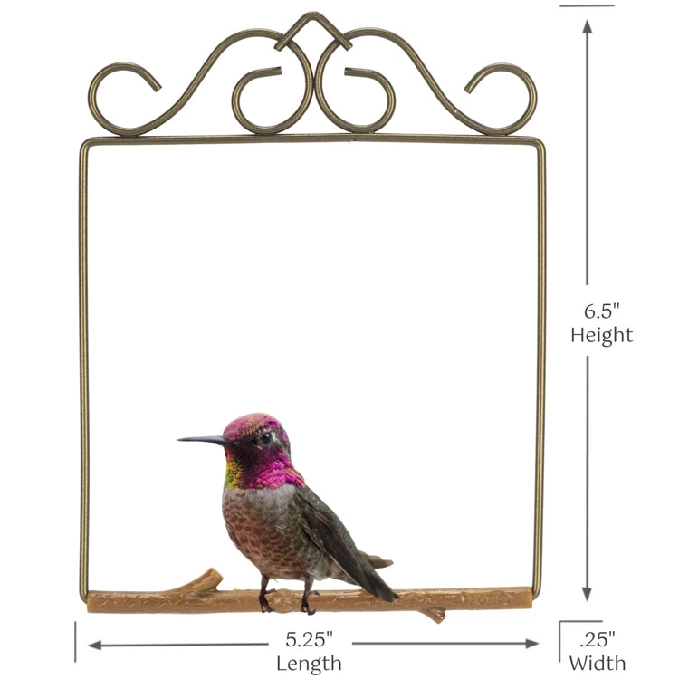Decorative metal frame with a hummingbird illustration and dimensions on a white background