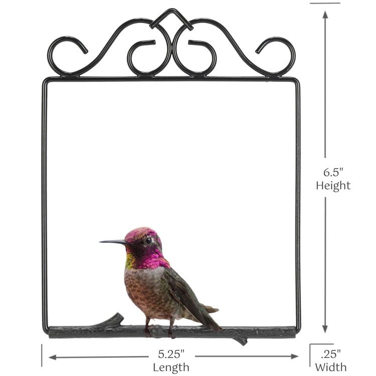 Decorative metal frame with a hummingbird illustration and dimensions on a white background