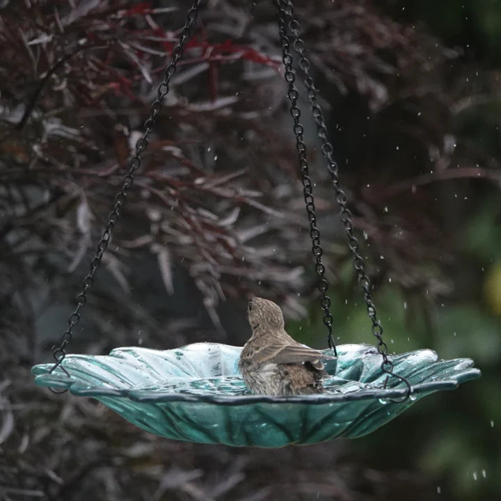 Turquoise recycled glass hanging bird bath displayed outdoors with decorative stones in the basin, surrounded by garden foliage.