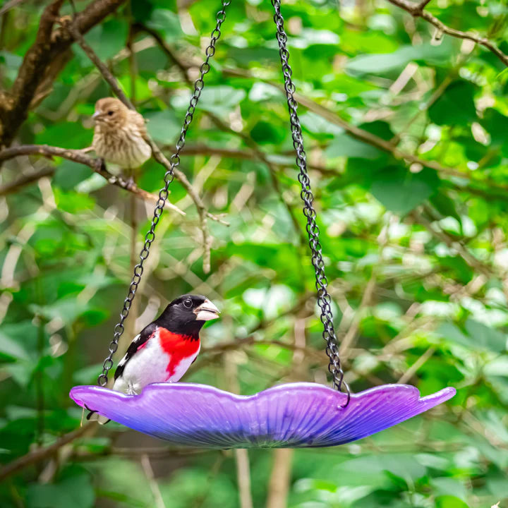 Purple recycled glass hanging bird bath with a small songbird perched on the rim, surrounded by lush green foliage.