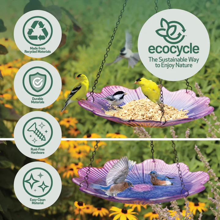 EcoCycle Violet Begonia Hanging Bird Bath infographic highlighting recycled glass construction, decorative floral design, and versatile bird-friendly functionality.