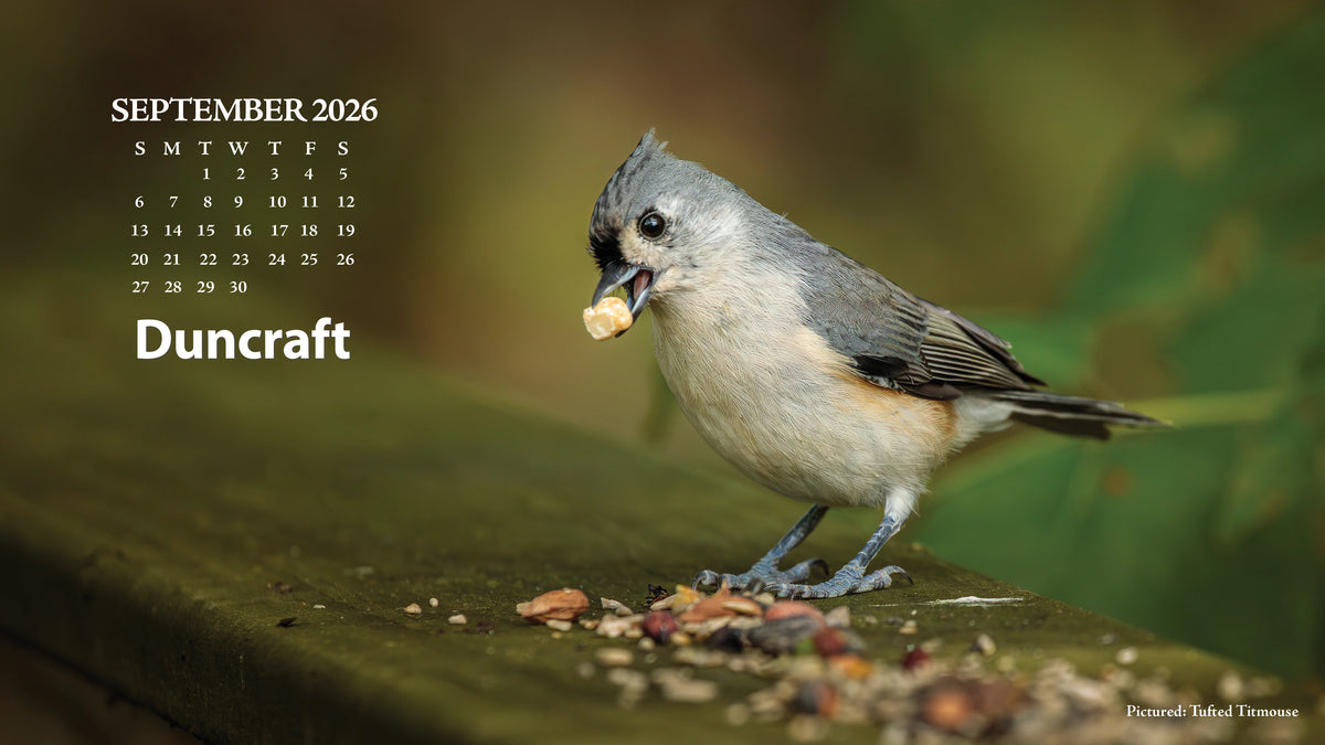 September desktop calendar Titmouse perched on a porch railing eating seed.