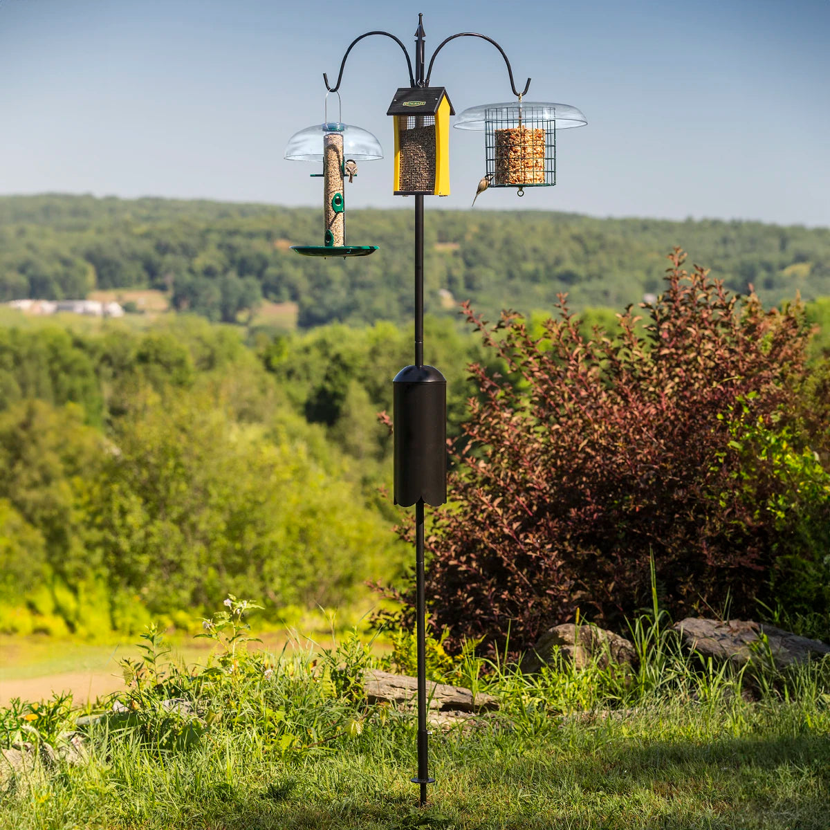 Squirrel-Proof Super Tall Quad Hanger featuring a three-arm pole with squirrel baffle, set in a grassy outdoor area, holds multiple bird feeders.