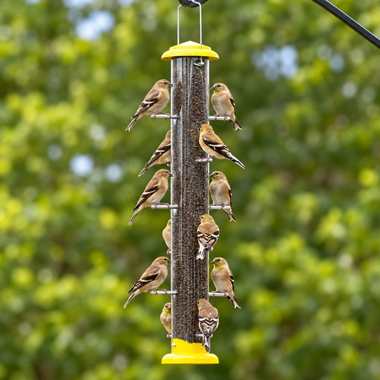 Goldfinches feeding from a yellow Nyjer tube bird feeder hanging against a softly blurred green backyard.