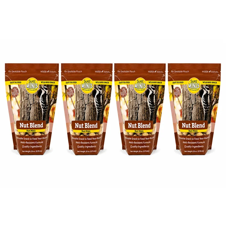 Four packages of Suet Minis Nut Blend for birds on a white background