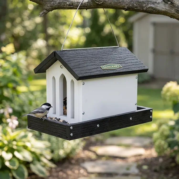 Bird feeder hanging from a tree branch with a bird perched on it, set against a natural outdoor background.