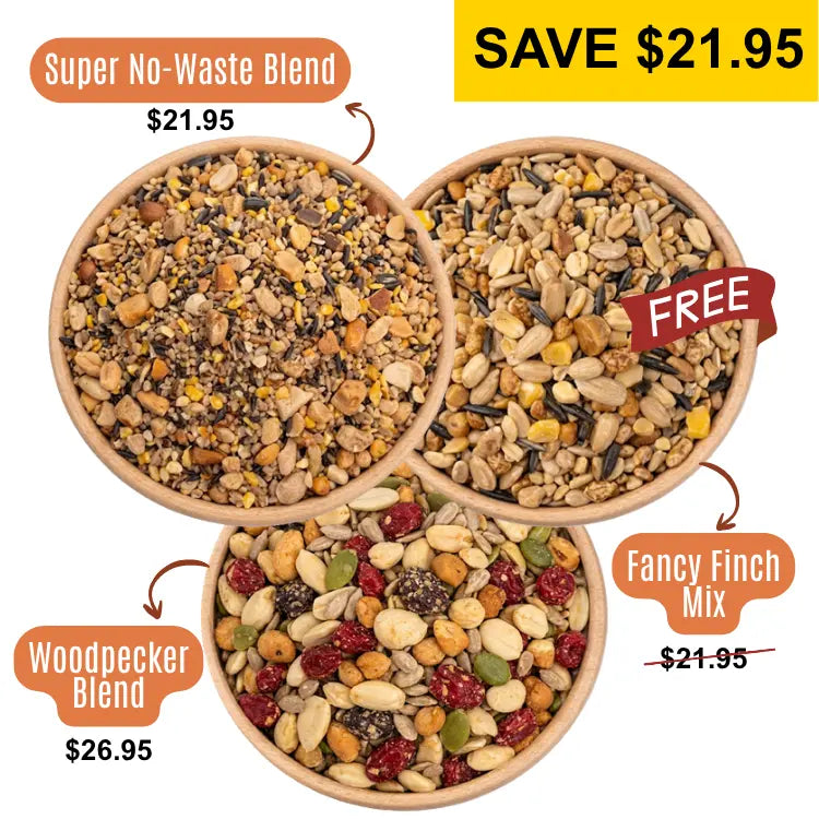 3 Bowls of birdseed from a birds eye view, specifically: Fancy Finch Mix, Super No-Waste Blend, and Woodpecker Blend