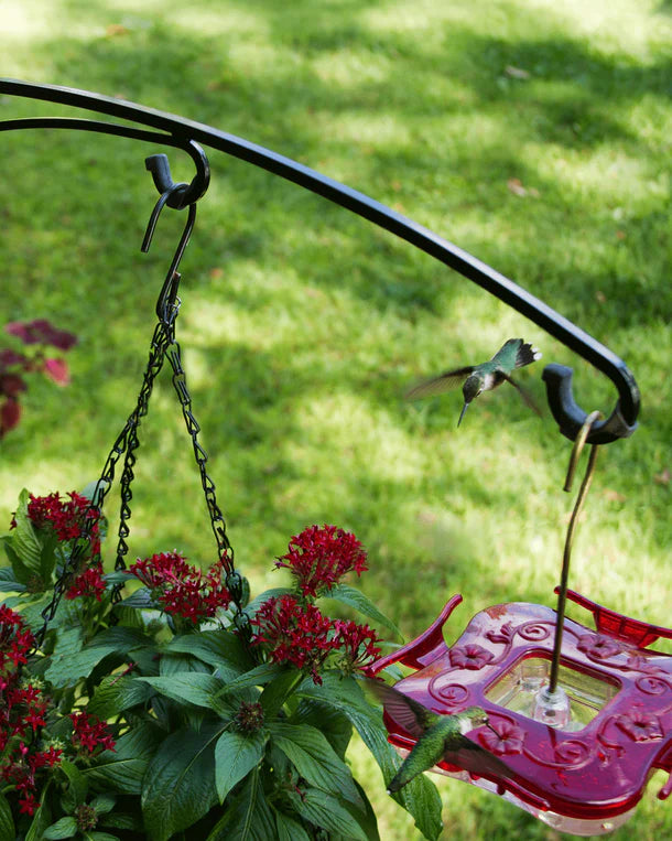 Brome BirdsUP 25 Hanging Bracket holding a red pentas plant and a red hummingbird feeder, with two hummingbirds in flight, set against a grassy background.