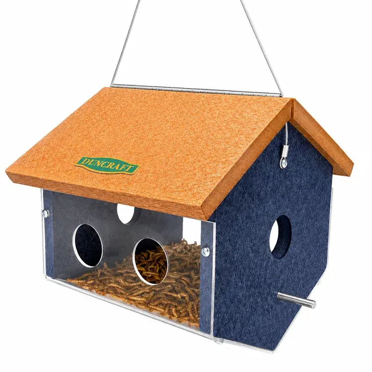 Angled view of Duncraft EasyView hanging mealworm feeder featuring clear acrylic sides, feeding ports, perch, and mealworm tray.