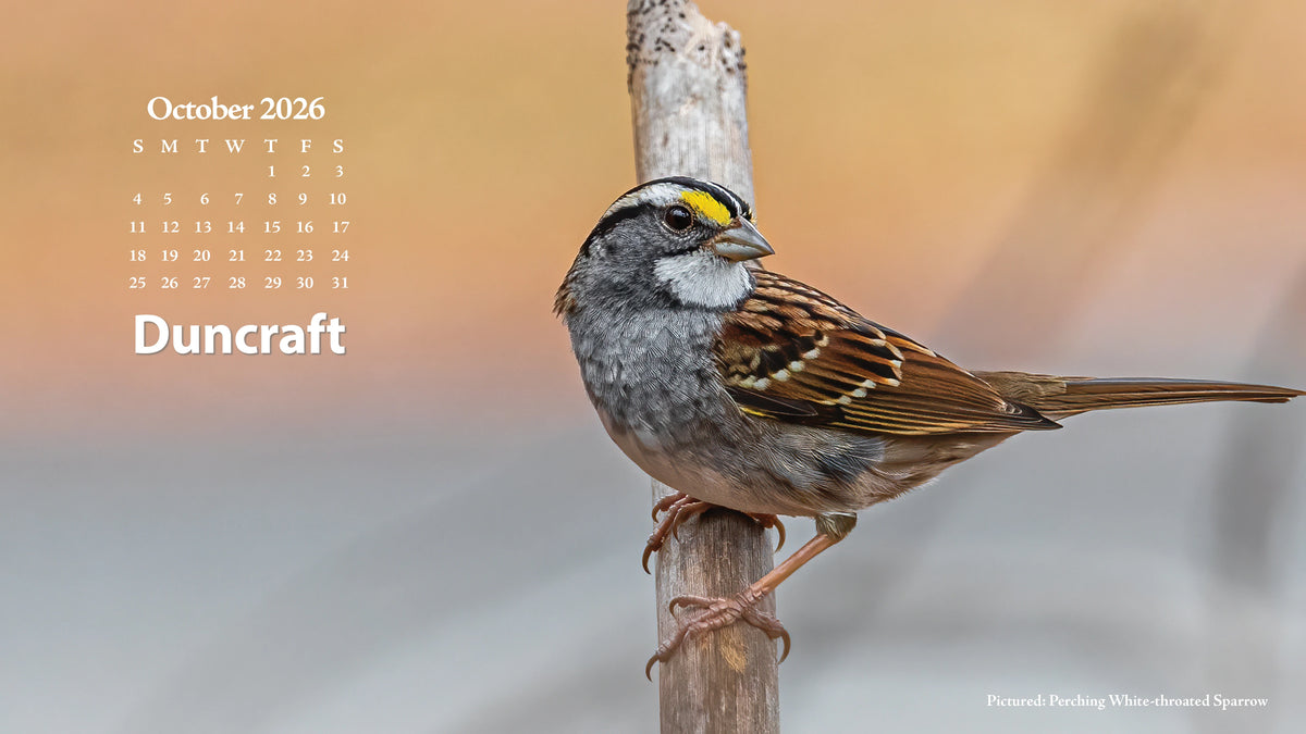 October 2026 Calendar with a Perching White-Throated Sparrows.