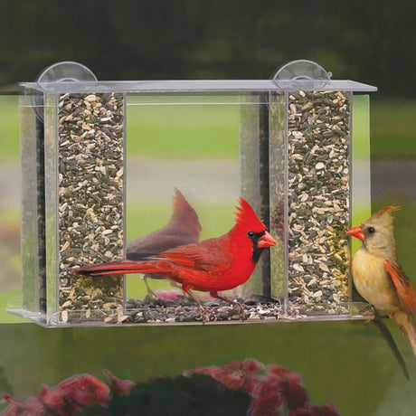 Window-mounted bird feeder with mixed seeds, featuring a male Northern Cardinal inside and a female Cardinal outside, with pink blooms in the foreground.