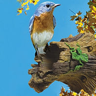 A bluebird with bright blue feathers and an orange-rust chest perches on a tree branch against a clear sky with autumn leaves.