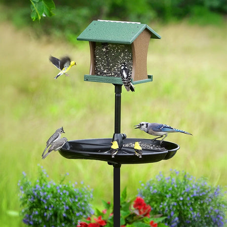 Brome Seed Buster Seed Tray and Catcher with feeding songbirds, showing the tray catching seed under a house-style feeder on a black pole.