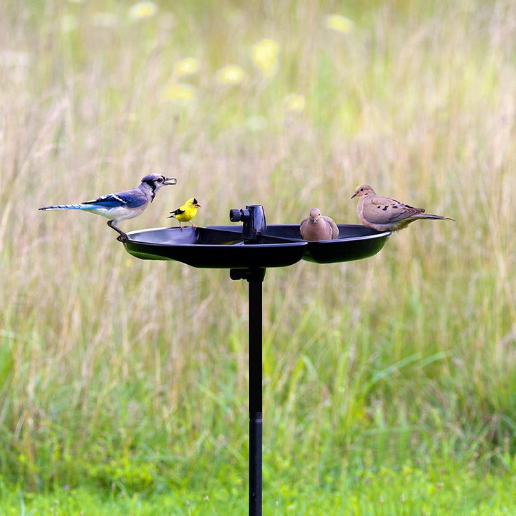 Brome Seed Buster Seed Tray and Catcher with birds: Blue Jay, Goldfinch, and Mourning Doves, demonstrating its effective seed-catching design in a grassy area.