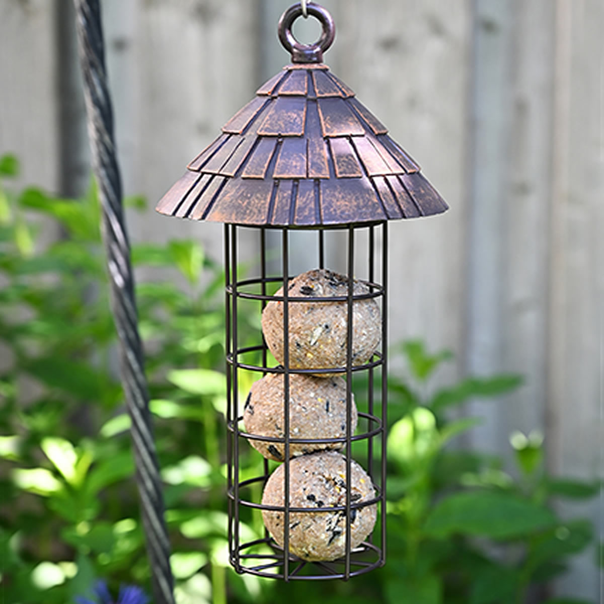 Shingled Suet Ball Feeder with metal cage and peaked roof, holding three seed-and-suet balls, suspended for attracting birds like woodpeckers and chickadees.