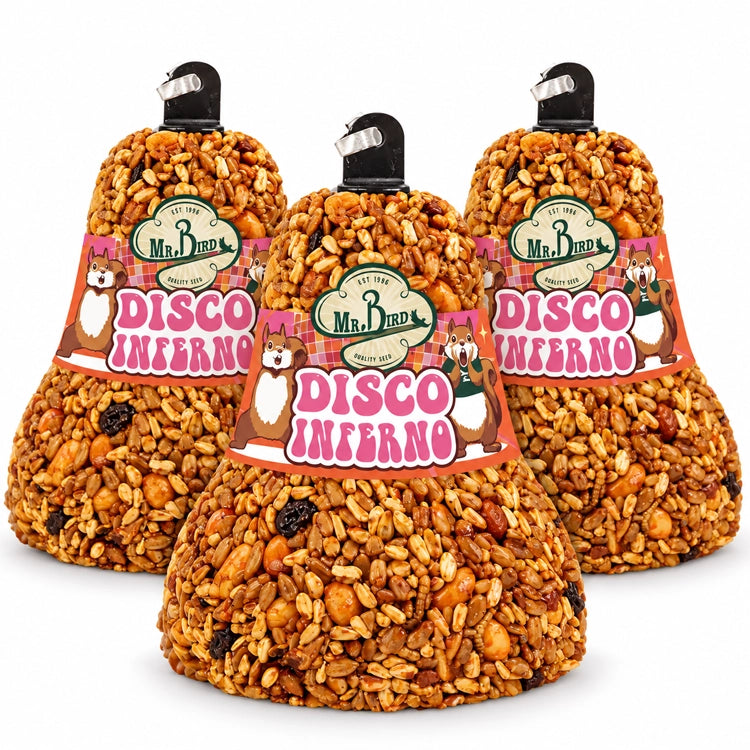 Three Mr. Bird Disco Inferno bird food bells with orange and pink labels on a white background.