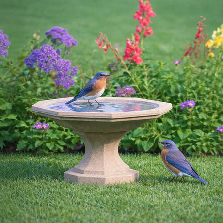Newton Bird Bath, Sand, on lawn with blooming flowers, features two bluebirds—one bathing, one waiting. Compact design, lightweight resin, 17 diameter, 11 tall.