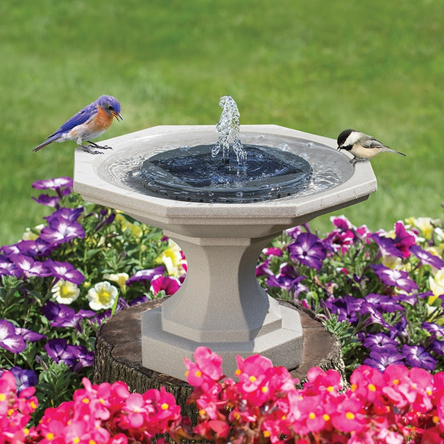 Sand Newton Bird Bath with Solar Fountain on a tree-stump base, featuring a bluebird and chickadee, surrounded by vibrant garden flowers.