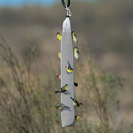 Super Nyjer® Stocking, Set of 3 or 6, with finches feeding. This 22-inch mesh feeder holds 3 lbs. of Nyjer® seed, ideal for small songbirds.