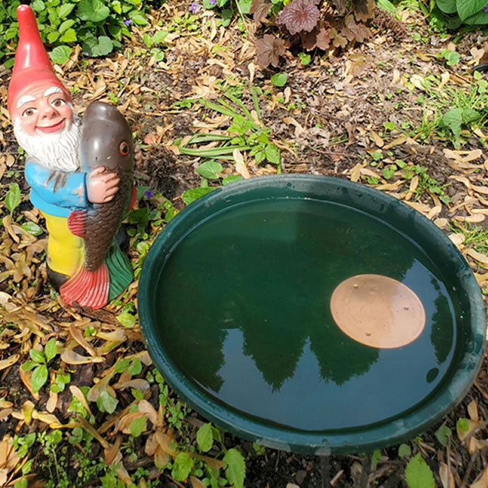 Garden scene with a colorful gnome and a green birdbath featuring the Antimicrobial Copper Bird Bath Purification Disk, elevated for effective water purification.