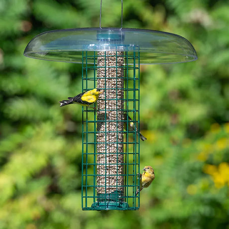 Bird feeder with birds perched on it against a green foliage background