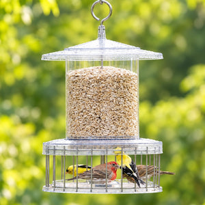 All Weather Feeder with Wire Cage, showing birds feeding from a weatherproof, squirrel-proof feeder with protected seed ports and a circular baffle for easy bird access.