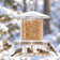 All Weather Feeder with Wire Cage, holding seeds, features a weatherproof design with protected seed ports, a circular baffle, and a squirrel-proof wire cage.