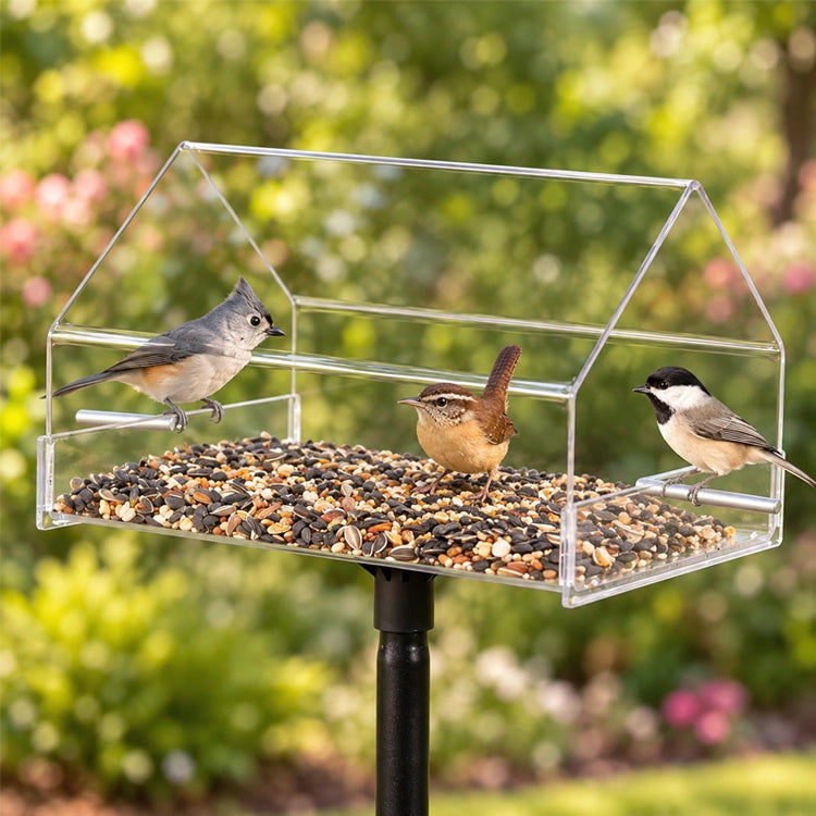 Duncraft Pole Mount Chalet feeder with birds on perches and inside, set up outdoors with clear siding for easy bird viewing and a protective roof.