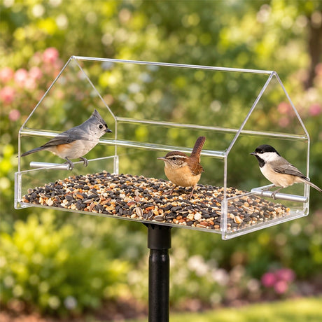 Duncraft Pole Mount Chalet feeder with birds on perches and inside, set up outdoors with clear siding for easy bird viewing and a protective roof.