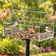 Duncraft Pole Mount Chalet feeder with birds on perches and inside, set up outdoors with clear siding for easy bird viewing and a protective roof.