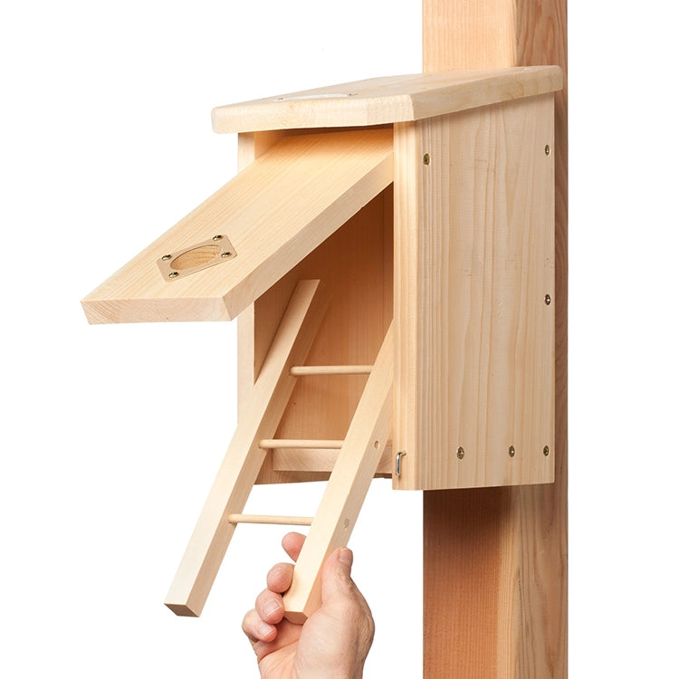 Wooden bird house with hinged front panel and fold-down ladder for easy access, cleaning, and maintenance.