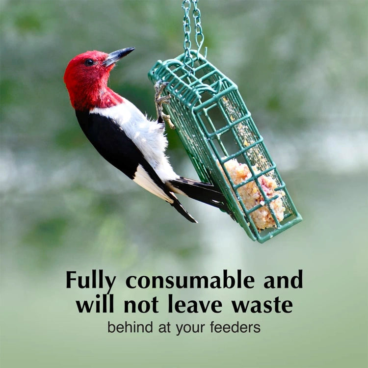 Red-headed woodpecker interacting with a green bird feeder against a blurred natural background.
