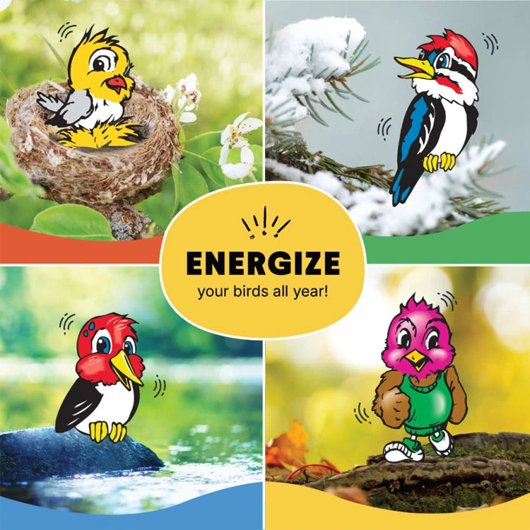 Collage of cartoon birds in various settings with a 'Energize your birds all year' label.