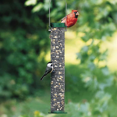 Duncraft Sunflower Mesh Tube Feeder with two birds: a Northern Cardinal and a Chickadee, feeding on seeds from the sturdy wire-mesh design.