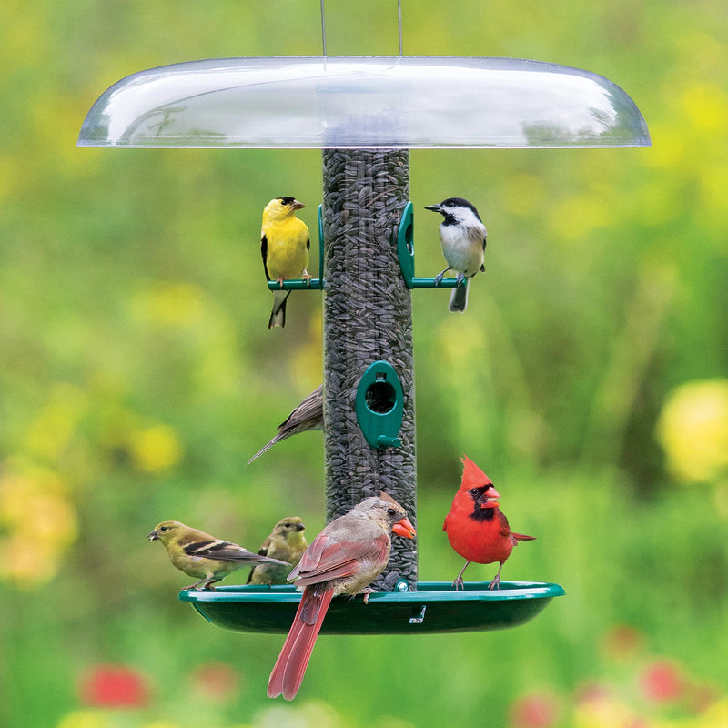 Tube bird feeders for all birds. 
