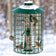 Duncraft Squirrel Proof Selective: Green wire-caged tube feeder with mixed seeds, attracting five songbirds eating seed through six ports with a winter background. 