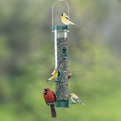 Duncraft Original Tube Feeder filled with seeds, featuring a red male Northern Cardinal and American Goldfinches feeding. Durable, chew-proof design with six metal ports.