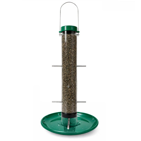 Tube-style bird feeder with a clear seed reservoir, green metal top and base tray, multiple perches, and a hanging loop, shown on a white background.