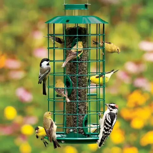Bird Feeders