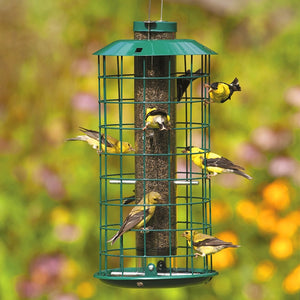 Green bird feeder with birds perched on it against a blurred natural background