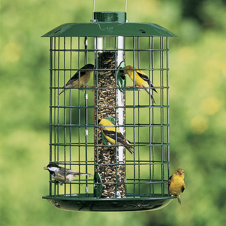 Caged Bird Feeders