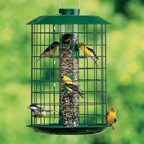 Duncraft Metal Selective bird feeder with green wire cage, filled with seeds, attracting goldfinches and chickadees. Features six feeding ports and squirrel-deterrent design.