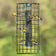 Duncraft Create a Haven bird feeder with wire cage, featuring small birds perched and feeding, designed to deter squirrels and fit flat top tube feeders.