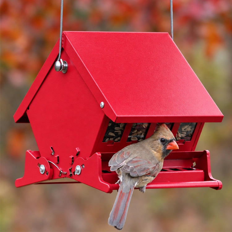 Mini Squirrel-Resistant Bird Feeder with two-sided feeding, spring-loaded perches, and metal hanger. Bird perched on feeder, illustrating its functionality and design.