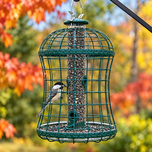 Green squirrel-proof caged tube bird feeder with mixed seed, protective metal cage, feeding ports, and clear seed-catching tray hanging outdoors.