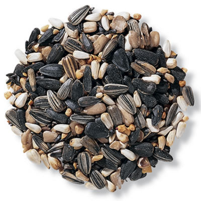 Pile of sunflower seeds from the Super Songbird Mix, featuring black oil and gray striped sunflower seeds, sunflower heart chips, Nyjer® seed, and peanut bits.
