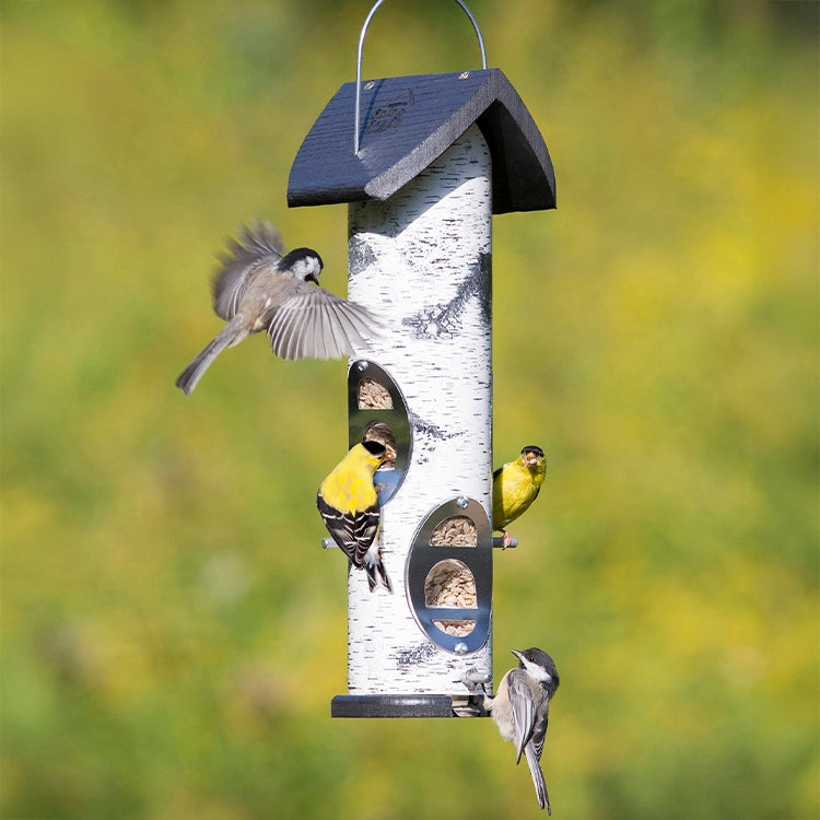 Birch tree bird feeder with black roof, realistic birch bark design, metal feeding ports, and perches.